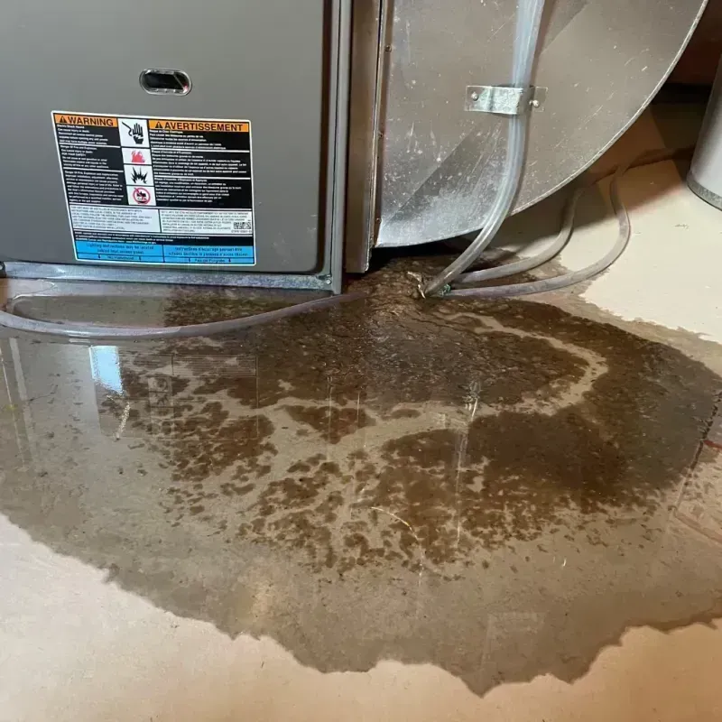 Appliance Leak Cleanup in Daly City, CA